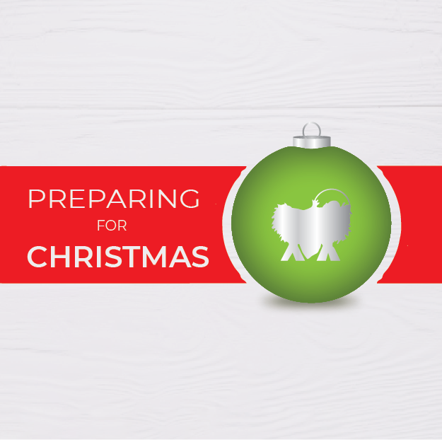 Preparing for Christmas – week 4